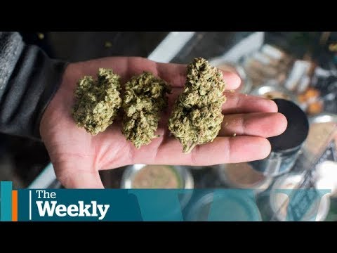 Legal Weed: politicians and police cashing in on new industry
