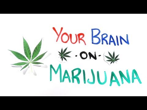 Your Brain on Drugs: Marijuana