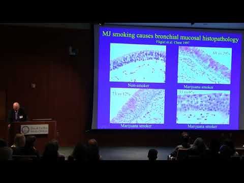 Pulmonary Effects of Cannabis – Donald Tashkin, MD | UCLA Health Cannabis Research Initiative