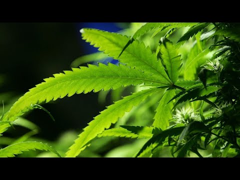 Missouri legalizes medical marijuana