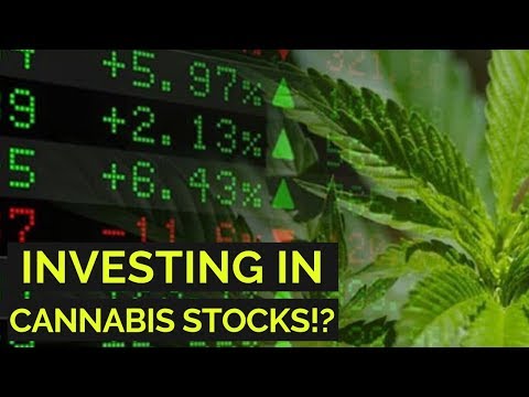 Investing in CANNABIS/POT Stocks!? 🌿🔥