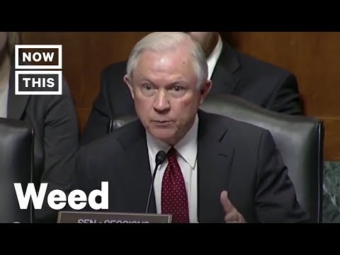 What Jeff Sessions’ Departure Means For Weed Policy | NowThis
