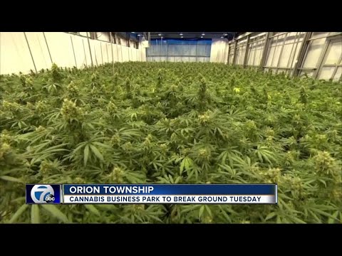 Officials say Orion Township cannabis business park will have big impact on area