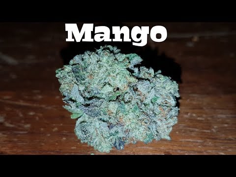 Canadian Cannabis Strain Review – Mango By Tilray