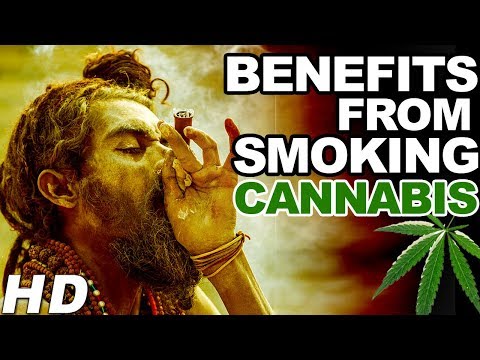 7 Really Surprising Health Benefits from Smoking Cannabis | Healthy Life Aim