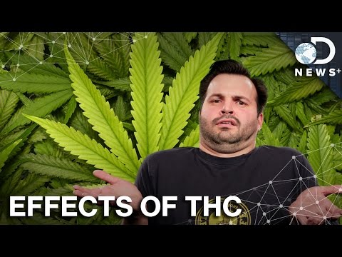 How THC Replaces Your Brain’s Neurotransmitters
