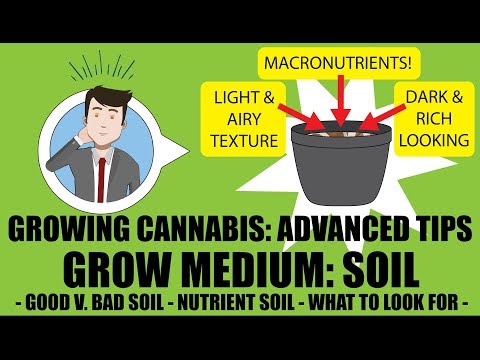 Grow Medium – SOIL (PART 1): Advanced Cannabis Growing Tips  – GROWING CANNABIS 201