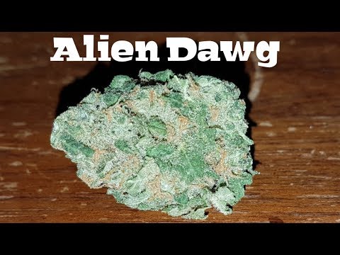 Canadian Cannabis Strain Review – Alien Dawg By Tilray