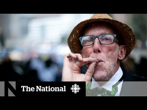 Patchwork of policies govern legal weed at the workplace