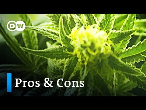 Cannabis: The pros and cons | DW Englisch
