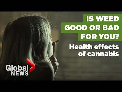 Everything we know about the health effects of marijuana