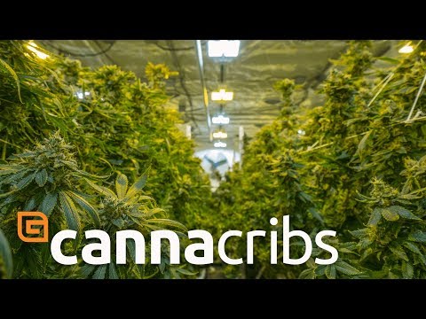 Canna Cribs: E2 – Grow Op Farms/Phat Panda – Cannabis Grow Operation in Spokane, Washington