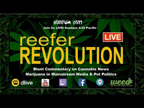 🔴 Reefer Revolution LIVE! Sundays Blunt Commentary on Cannabis News, Pot Politics & Marijuana Media