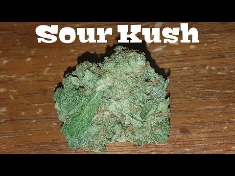 Canadian Cannabis Strain Review – Sour Kush AKA Two-Tone Ban By Aphria