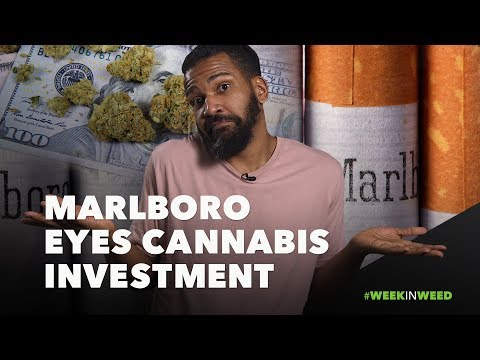 This Week in Weed: Marlboro Ready to Buy Marijuana?!