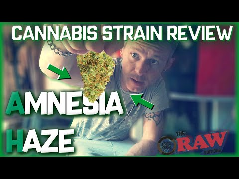 Cannabis Strains In The UK – AMNESIA HAZE – Cannabis Strain Review (Weedview RAW Editions)