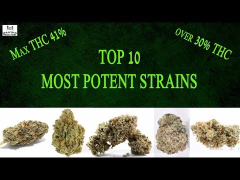 Top 10 Most Potent Strains 2018 (Watch until the end for the highest THC!)