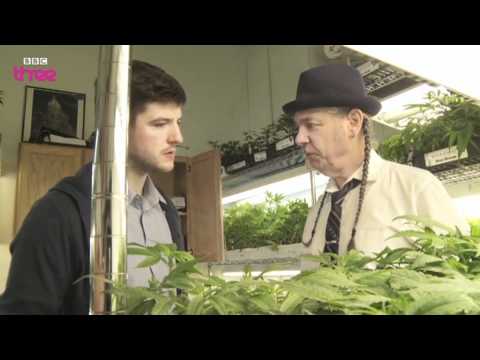 The World’s Largest Cannabis Dispensary – Cannabis: What’s The Harm? Preview – BBC Three