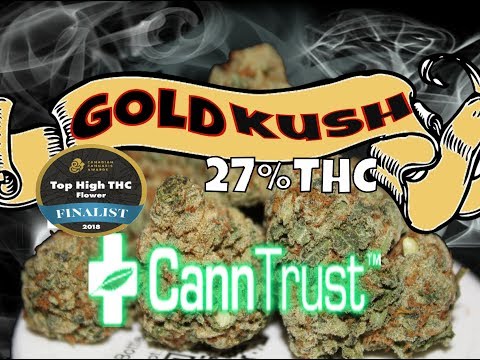 Gold Kush Cannabis Strain Review | CannTrust Legal Medical Weed Canada
