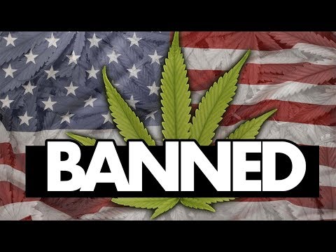 Investing In WEED STOCKS Can Get You BANNED from US!?!? 👮❌