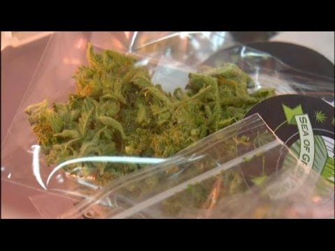 Legal Marijuana in Washington State: Lone Pot Shop, Cannabis City, Opening in Seattle