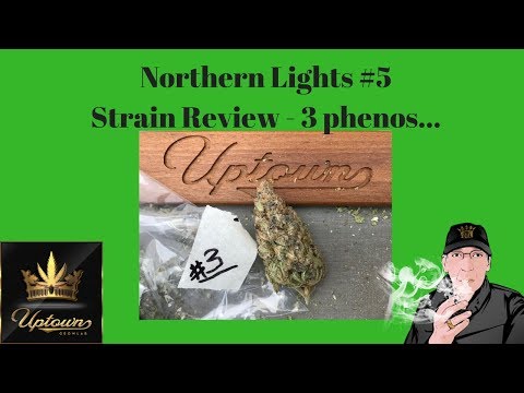 Northern Lights #5 Cannabis Strain Review