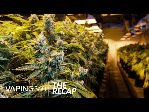 FDA Intervention in Marijuana Possible, NY Vaping Ban, New Giveaways and More | The ReCap