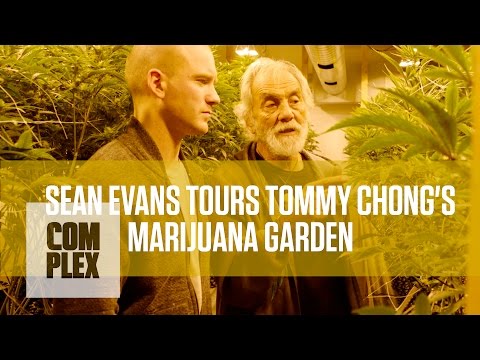 Tommy Chong’s Medical Marijuana Garden | Complex