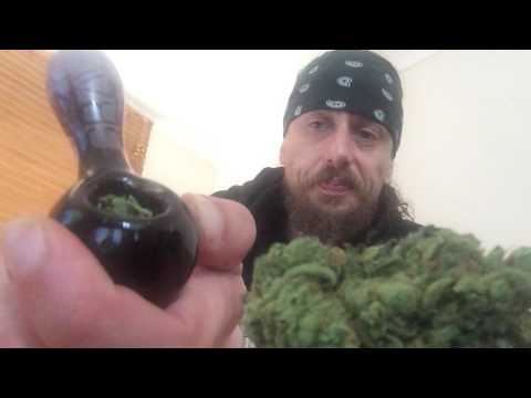 BLUEBERRY Classic cannabis strain review!!!!