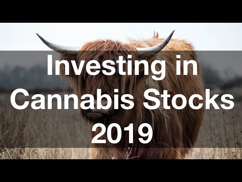 Marijuana Stock Investing 2019 | Bullish on Cannabis Stock Growth