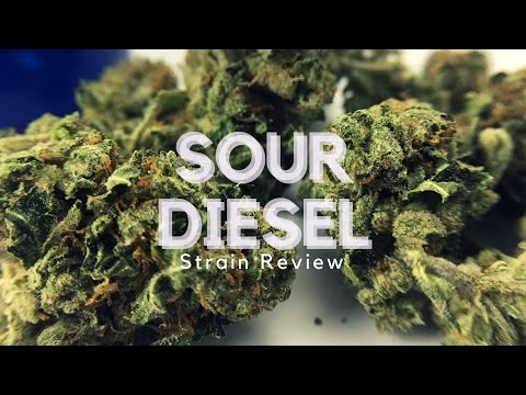 Sour Diesel Cannabis Strain Review – ISMOKE