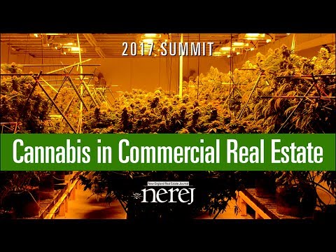 Starting a legal cannabis business with NEREJ’s Cannabis Summit