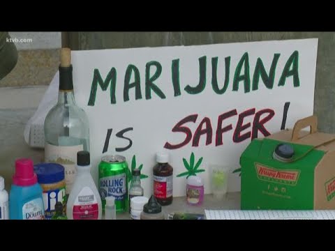 ‘Chronic State’: The impact of legal marijuana