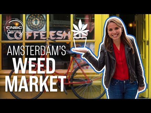 Amsterdam’s jealous of America’s weed industry | CNBC Reports