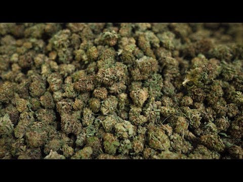 Ontario politicians weigh in on pot legalization