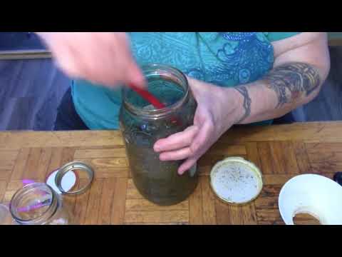 Making alcohol Free Cannabis Tincture