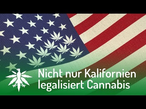 USA: Nicht nur Kalifornien legalisiert Cannabis | DHV News #100