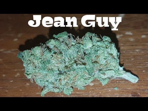 Canadian Cannabis Strain Review – Jean Guy AKA Sweet Jersey 3 by Aphria