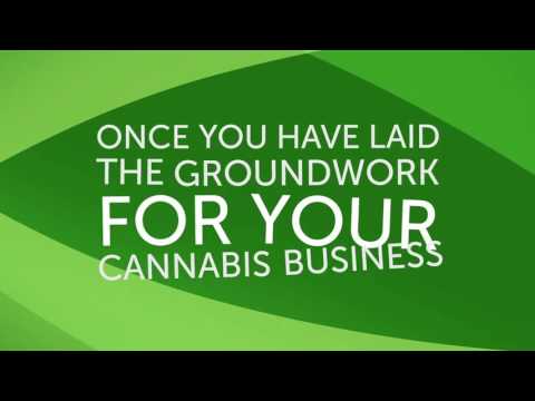 Marijuana & Cannabis Business Consulting