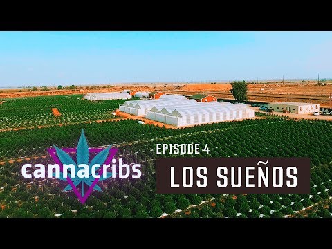 Largest Outdoor Cannabis Farm in World (Canna Cribs Episode 4: Los Sueños Farms)