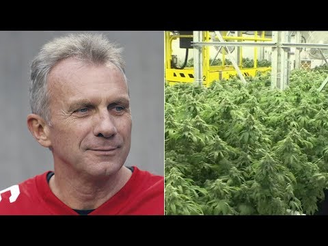 San Francisco 49ers legend Joe Montana is getting into the marijuana business