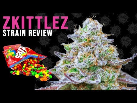 ZKITTLEZ STRAIN REVIEW