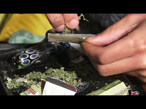 Ny inställning till cannabis ger boom i USA. – Nyheterna (TV4)