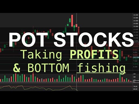 POT STOCKS | What is NEXT for AURORA & CANOPY? | Profits & Bottom Fishing