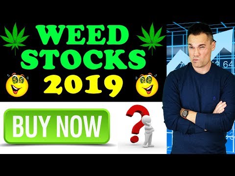 Is It Finally Time To Buy Marijuana Stocks In 2019?