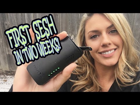 STONED! First Vape Sesh in 2 WEEKS!! | XVAPE FOG | TheDabSpot
