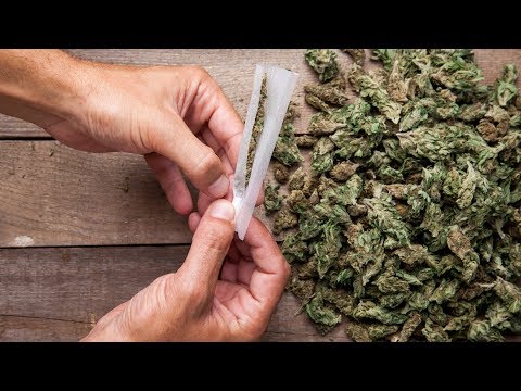 Is cannabis really a wonder drug?