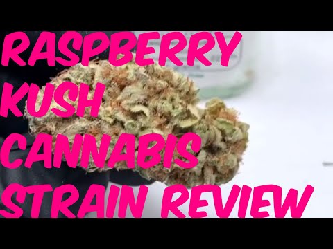 Raspberry Kush Cannabis Marijuana Weed Strain Review