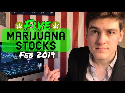 Marijuana Stocks To Buy February 2019 🌿