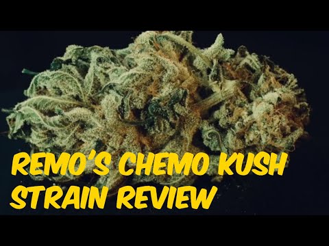 Remo’s Chemo Kush Cannabis Marijuana Weed Strain Review